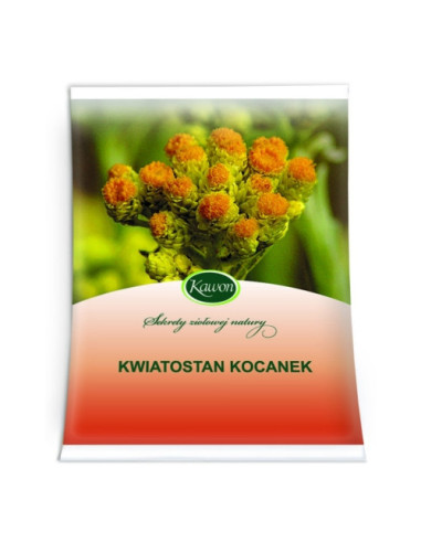 Kocanka kwiatostan - 25g - Kawon
