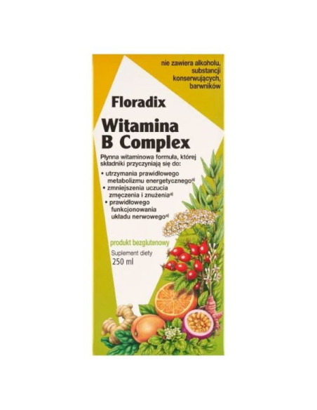 Floradix Witamina B Complex - 250ml - Salus Haus