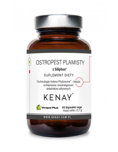 Ostropest plamisty - 60kaps - Kenay