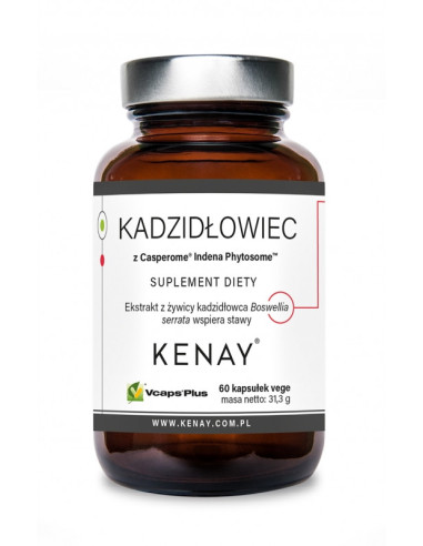 Kadzidłowiec Casperome - 60kaps - Kenay
