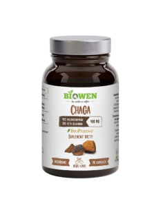 Chaga 400mg - 90kaps - BIOWEN
