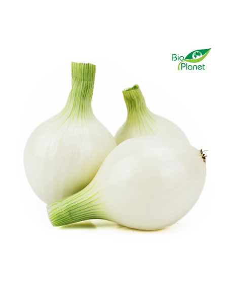 CEBULA CUKROWA ŚWIEŻA BIO (POLSKA) (około 1,00 kg)