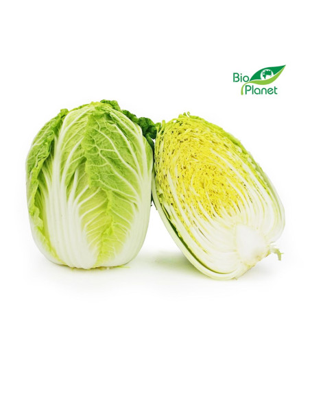 KAPUSTA PEKIŃSKA ŚWIEŻA BIO (około 0,60 kg)