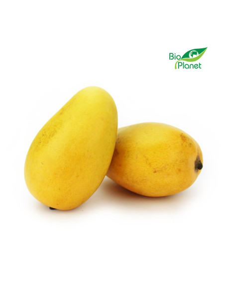 MANGO ATAULFO ŚWIEŻE BIO (około 0,15 kg)