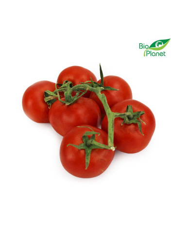 POMIDORY NA GAŁĄZCE ŚWIEŻE BIO (około 0,45 kg)