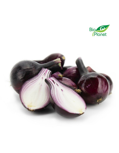 CEBULA CZERWONA ŚWIEŻA BIO (POLSKA) (około 1,00 kg)