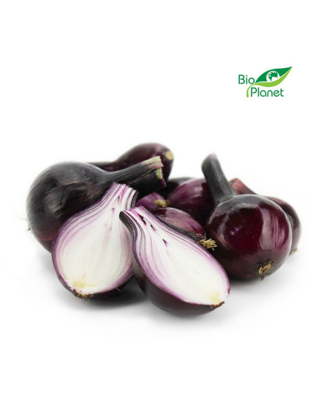 CEBULA CZERWONA ŚWIEŻA BIO (POLSKA) (około 1,00 kg)