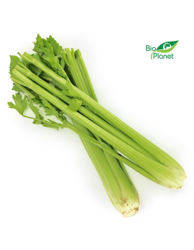 OPAKOWANIE ZBIORCZE (szt) - SELER NACIOWY ŚWIEŻY BIO (około 10 sztuk)