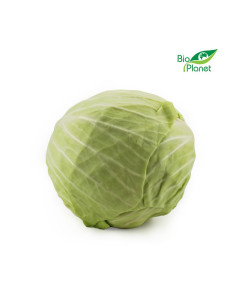 KAPUSTA BIAŁA ŚWIEŻA BIO (POLSKA) (około 1,50 kg)
