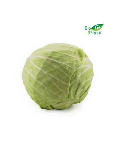 KAPUSTA BIAŁA ŚWIEŻA BIO (POLSKA) (około 1,50 kg)