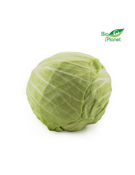 KAPUSTA BIAŁA ŚWIEŻA BIO (POLSKA) (około 1,50 kg)