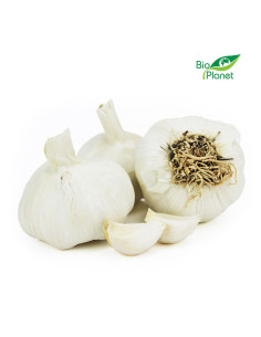 OPAKOWANIE ZBIORCZE (kg) - CZOSNEK ŚWIEŻY BIO (około 5 kg)