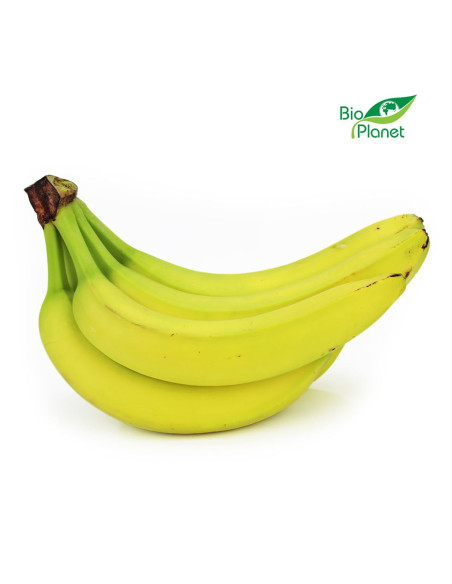 OPAKOWANIE ZBIORCZE (kg) - BANANY ŚWIEŻE BIO (około 18 kg)