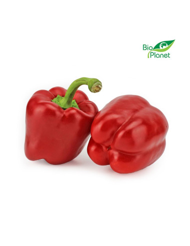 OPAKOWANIE ZBIORCZE (kg) - PAPRYKA CZERWONA ŚWIEŻA BIO (około 5 kg)