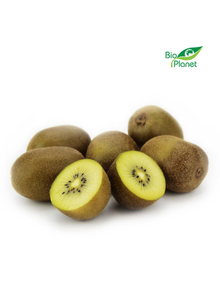 OPAKOWANIE ZBIORCZE (kg) - KIWI ŻÓŁTE ŚWIEŻE BIO (około 6 kg)