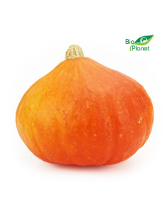 OPAKOWANIE ZBIORCZE (kg) - DYNIA HOKKAIDO ŚWIEŻA BIO (około 10 kg)