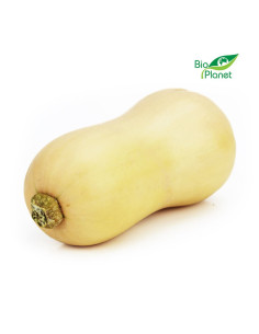 OPAKOWANIE ZBIORCZE (kg) - DYNIA PIŻMOWA (BUTTERNUT) ŚWIEŻA BIO (około 11 kg)