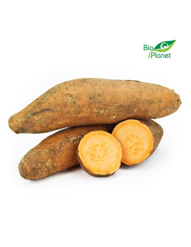 OPAKOWANIE ZBIORCZE (kg) - BATATY POMARAŃCZOWE ŚWIEŻE BIO (około 6 kg)