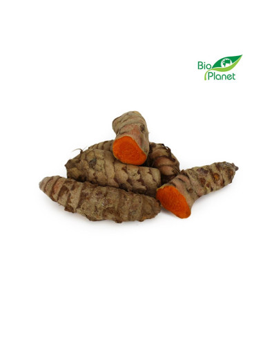 OPAKOWANIE ZBIORCZE (kg) - KURKUMA ŚWIEŻA BIO (około 2 kg)