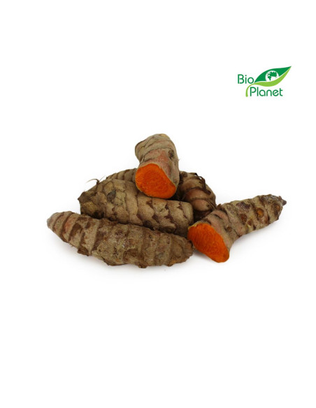 OPAKOWANIE ZBIORCZE (kg) - KURKUMA ŚWIEŻA BIO (około 2 kg)