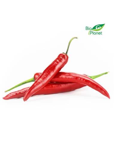 OPAKOWANIE ZBIORCZE (kg) - PAPRYKA OSTRA ŚWIEŻA BIO (około 1 kg)