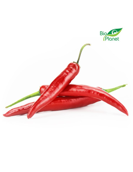 OPAKOWANIE ZBIORCZE (kg) - PAPRYKA OSTRA ŚWIEŻA BIO (około 1 kg)