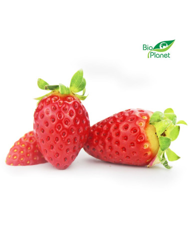 TRUSKAWKA ŚWIEŻA BIO (około 0,25 kg)