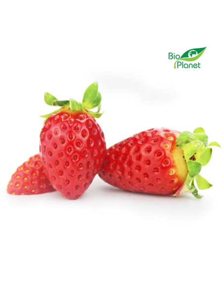 TRUSKAWKA ŚWIEŻA BIO (około 0,25 kg)