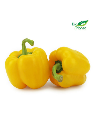 PAPRYKA ŻÓŁTA ŚWIEŻA BIO (około 0,50 kg)