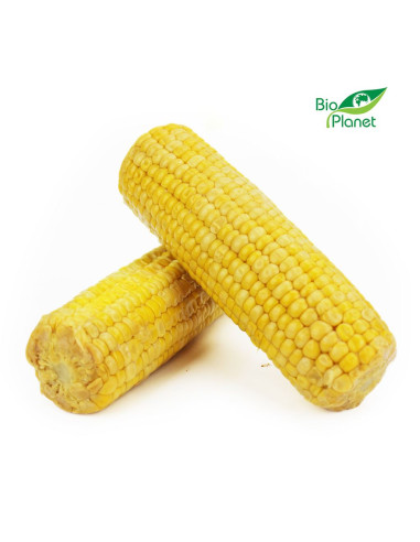 KUKURYDZA GOTOWANA BIO (około 0,40 kg)
