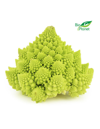 OPAKOWANIE ZBIORCZE (szt) - KALAFIOR ROMANESCO ŚWIEŻY BIO (około 8 sztuk)