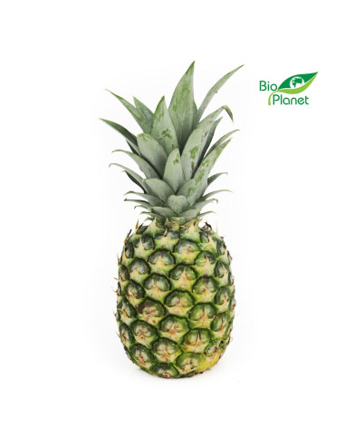 OPAKOWANIE ZBIORCZE (szt) - ANANAS ŚWIEŻY BIO (około 12 sztuk)