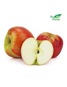 JABŁKA ŚWIEŻE BIO (CHAMPION - POLSKA) (około 1,00 kg)