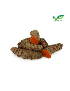 KURKUMA ŚWIEŻA BIO (około 0,30 kg)