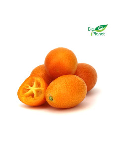 KUMKWAT ŚWIEŻY BIO (około 0,25 kg)