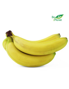 BANANY ŚWIEŻE BIO (około 0,60 kg)