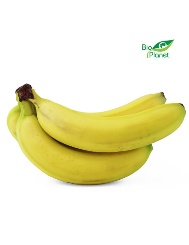 BANANY ŚWIEŻE BIO (około 0,60 kg)