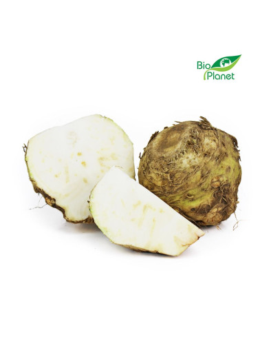 SELER ŚWIEŻY BIO (POLSKA) (około 1,00 kg)