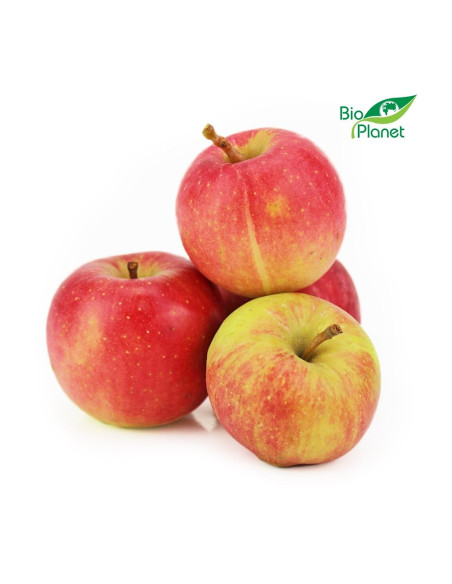 JABŁKA NA SOK ŚWIEŻE BIO (POLSKA) (około 1,00 kg)