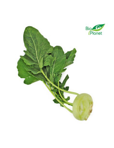 KALAREPA ŚWIEŻA BIO (około 0,25 kg)