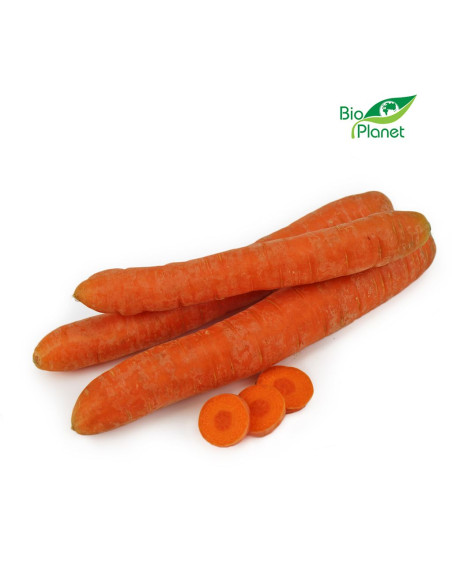 MARCHEW ŚWIEŻA MYTA BIO (POLSKA) (około 0,50 kg)