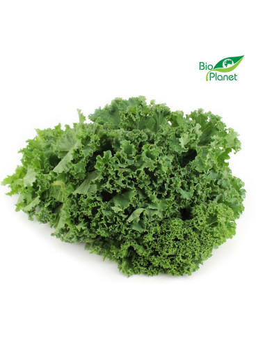 OPAKOWANIE ZBIORCZE (kg) - JARMUŻ ŚWIEŻY BIO (około 4 kg)