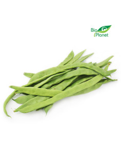 FASOLKA PŁASKA ŚWIEŻA BIO (około 0,50 kg)