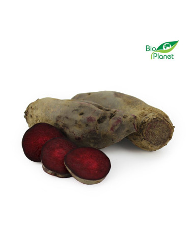 OPAKOWANIE ZBIORCZE (kg) - BURAK PODŁUŻNY ŚWIEŻY BIO (POLSKA) (około 5 kg)