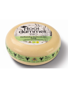 KOZI SER YOUNG (KRÓTKO DOJRZEWAJĄCY) BIO (około 4,5 kg) - HOOIDAMMER