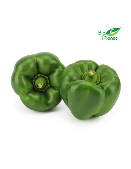 OPAKOWANIE ZBIORCZE (kg) - PAPRYKA ZIELONA ŚWIEŻA BIO (około 5 kg)