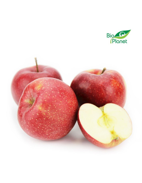 OPAKOWANIE ZBIORCZE (kg) - JABŁKA ŚWIEŻE BIO (RED PRINCE - POLSKA) (około 13 kg)