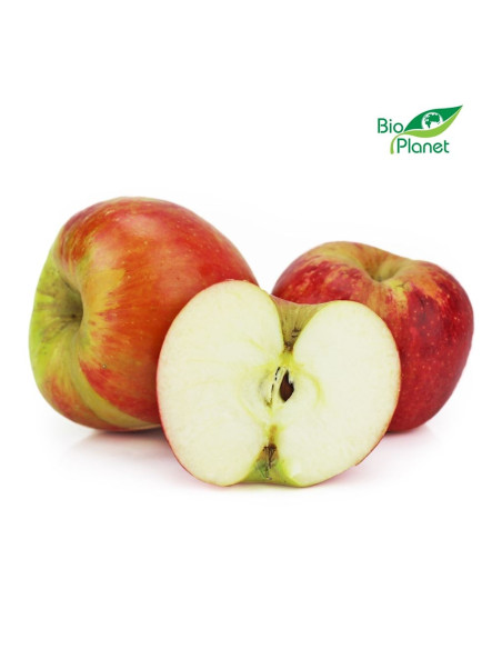 OPAKOWANIE ZBIORCZE (kg) - JABŁKA ŚWIEŻE BIO (CHAMPION - POLSKA) (około 13 kg)