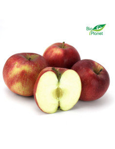 OPAKOWANIE ZBIORCZE (kg) - JABŁKA ŚWIEŻE BIO (IDARED - POLSKA) (około 13 kg)