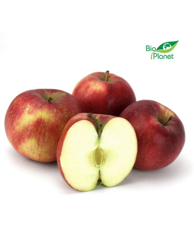 OPAKOWANIE ZBIORCZE (kg) - JABŁKA ŚWIEŻE BIO (IDARED - POLSKA) (około 13 kg)